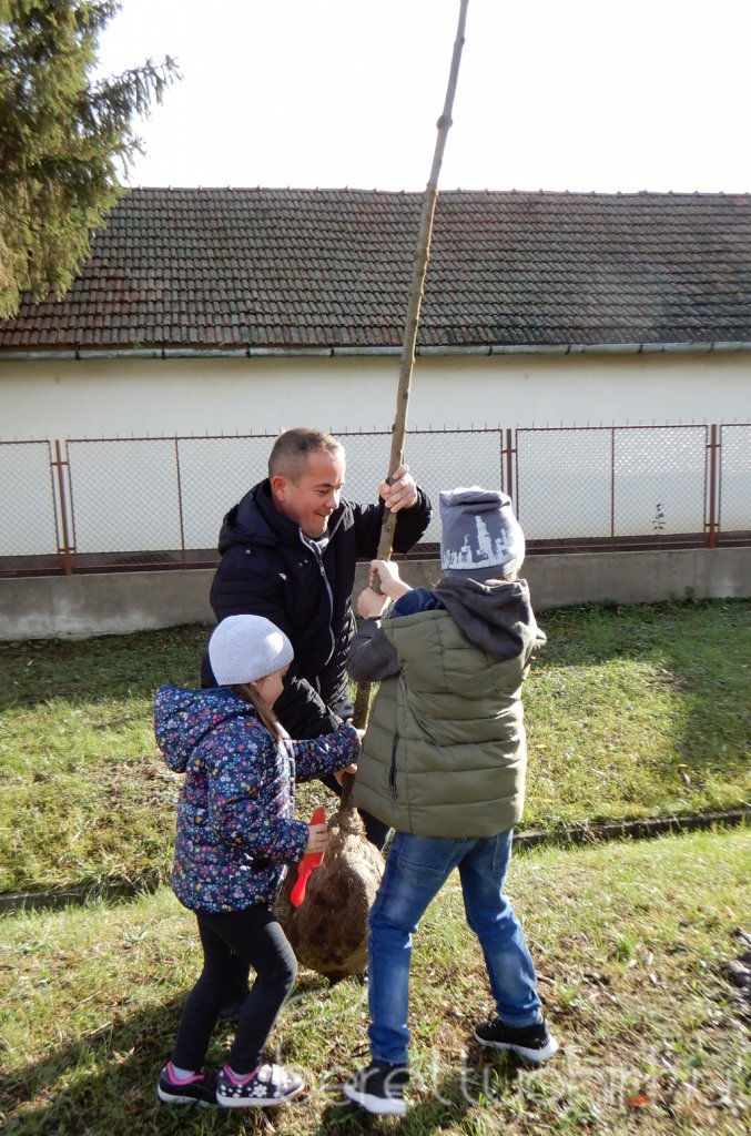 Közösségi faültetés Berettyóújfaluban 01